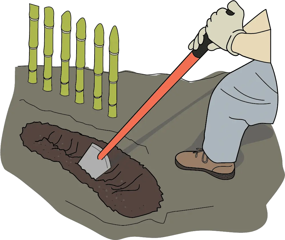 Download Hd Dig Trench With Shovel A Small Is Dug In Zanja Dibujo Png Shovel Transparent Background