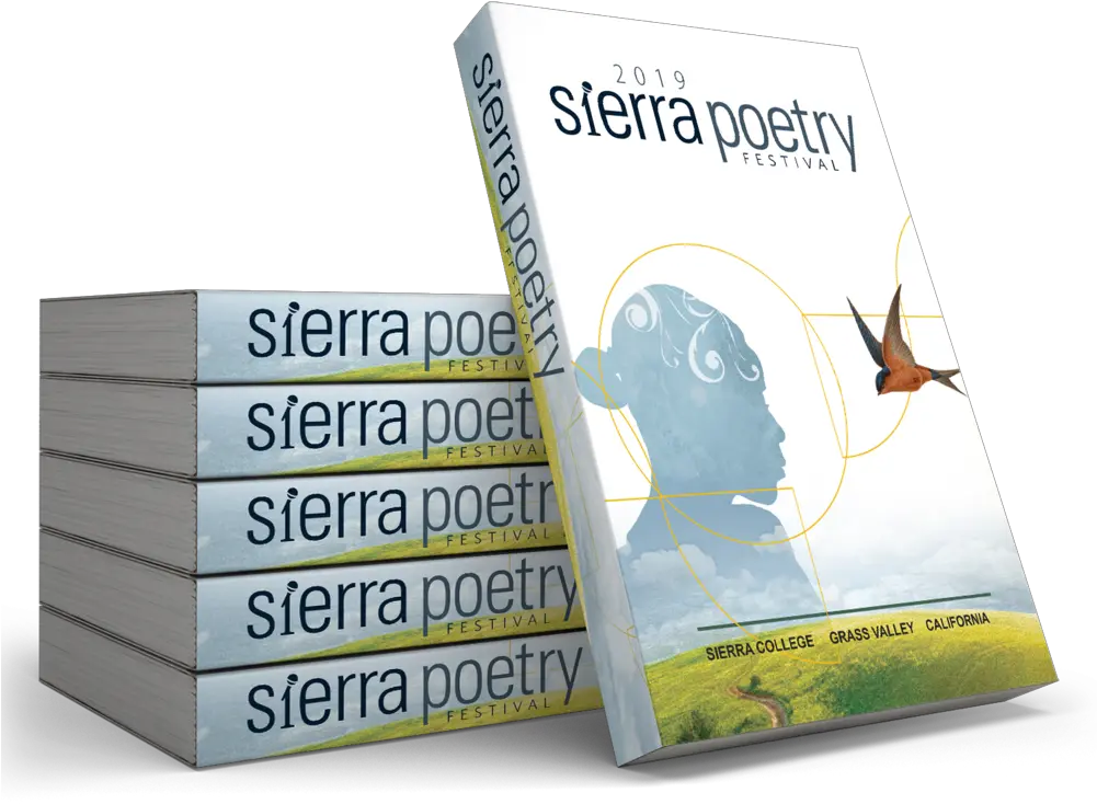 Download Hd Festival Book Stack Book Cover Transparent Png Book Cover Book Stack Png png