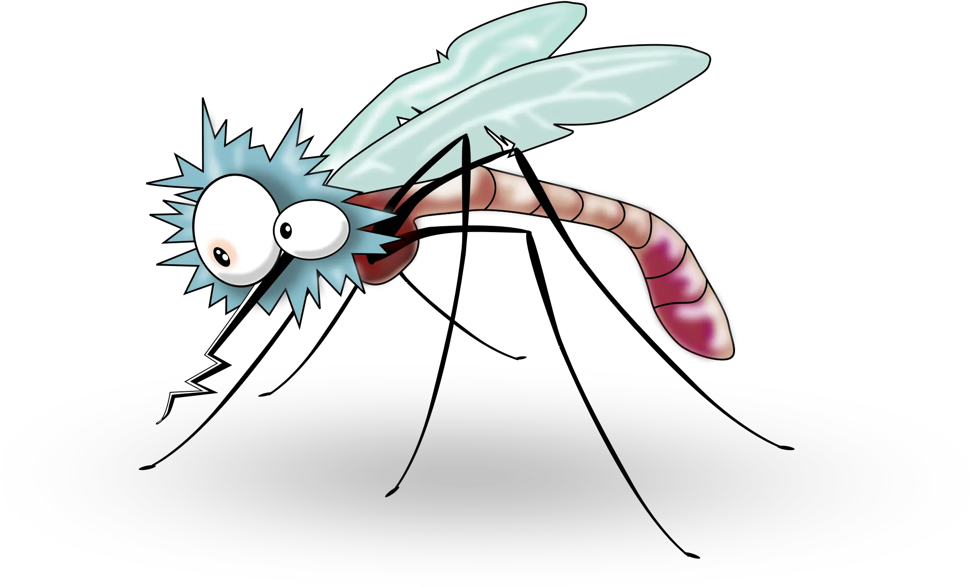 Flies Clipart Mosquito Transparent Free For Transparent Background Mosquito Clipart Png Fly Png