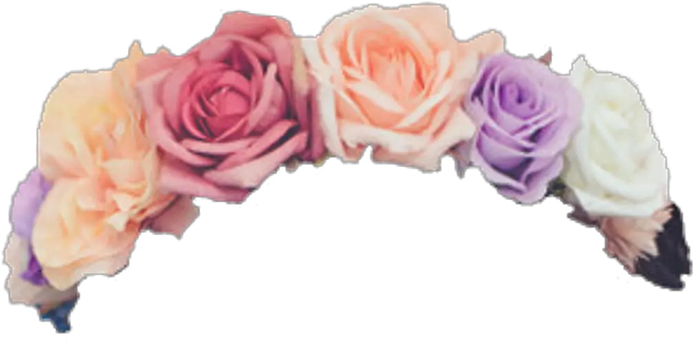 Flowers Flower Floral Crowns Crown Transparent Background Flower Crown Png Flower Crown Transparent png