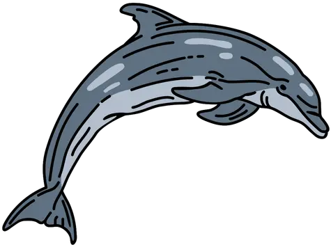 Transparent Png Svg Vector File Wholphin Dolphin Transparent