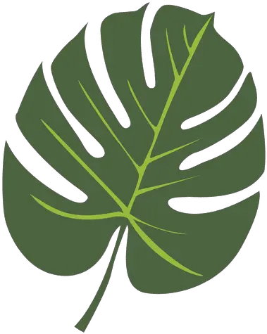 Tropical Palm Leaf Illustration Tropical Leaf Icon Png Tropical Leaf Png
