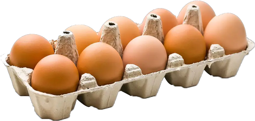 Download Thumb Image Transparent Background Pack Of Eggs Egg Carton Png Egg Transparent Background