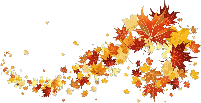 Autumn Leaves Transparent Png Transparent Autumn Leaves Png Autumn Leaves Png