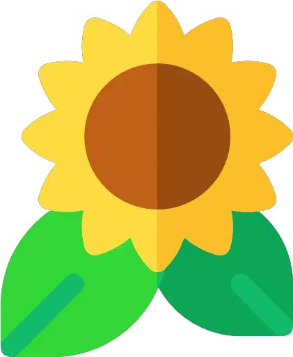 Flat Version Sunflower Icon Png