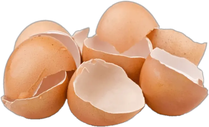 Cracked Eggshells Transparent Png Egg Shells Transparent Background Cracked Egg Png