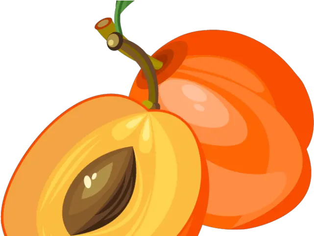 Peach Clipart Apricot Png Download Full Size Clipart Apricot Clipart Png Peaches Png