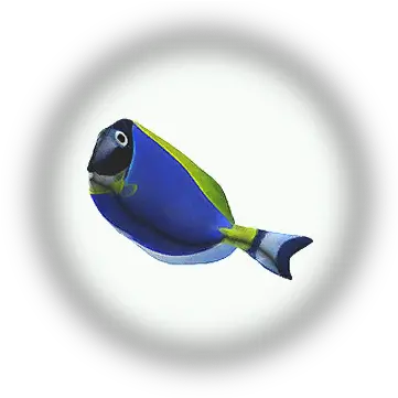 Bdo Blue Tang Knowledge Database Guide Blue Tang Png Dory Icon