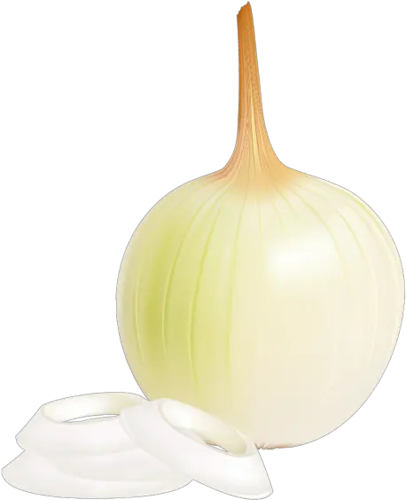 Onion Png Picture Clipart Clip Art Free Pictures Elephant Garlic Onion Png