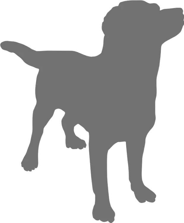 All Too Often You May Come Across An Advert In Your Dog Silhouette Dog Clipart Transparent Background Png Advert Icon