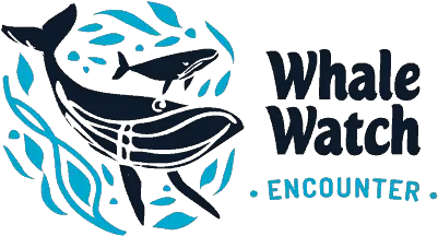 Tour Fraser Island In A Hummer Then Enjoy Half Day Of Whale Watching Logo Png Hummer Logos