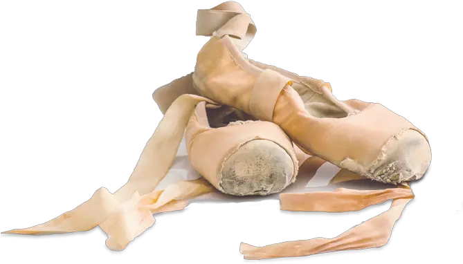 Membership Shoe Style Png Ballet Shoes Png