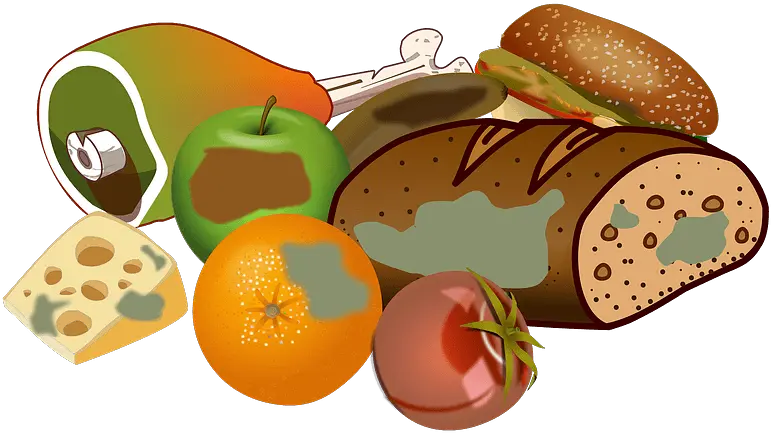 Wasting Food Clipart Food Waste Png Food Clipart Png png