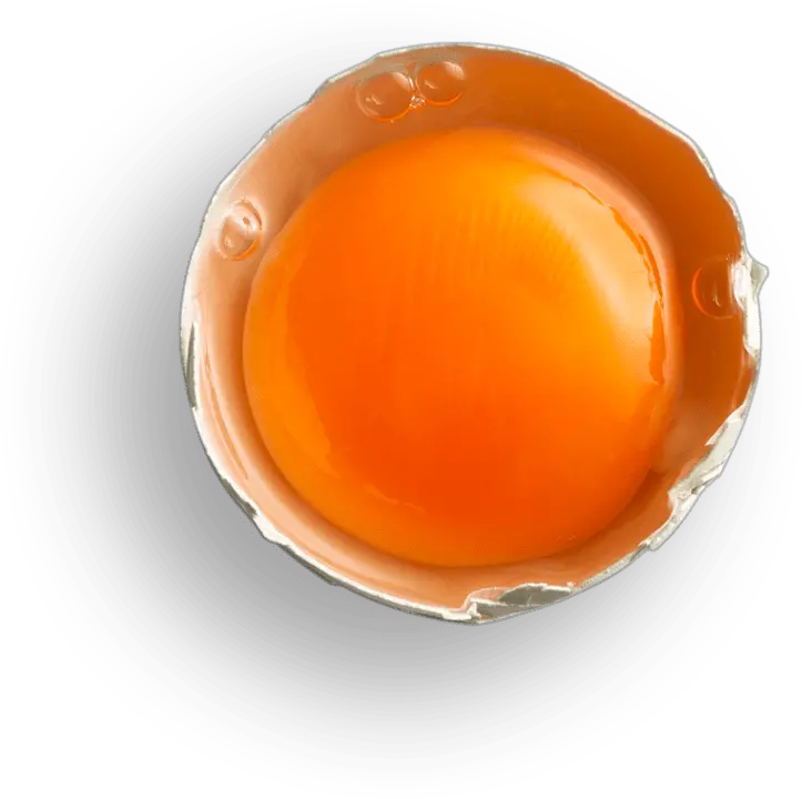 Free Range Eggs Always Choose Happy Caramel Color Png Eggs Transparent Background