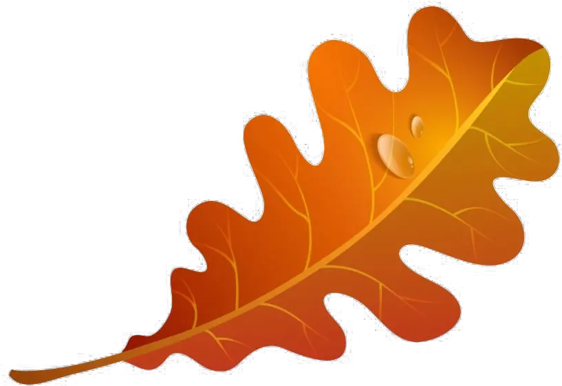 Fall Leaves Png Image Autumn Oak Leaf Clipart Falling Leaves Transparent Background
