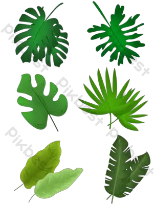 Collection Of Tropical Leaves Bundle Vector Graphic Element Decorative Png Tropical Leaves Png