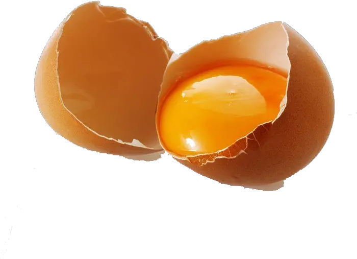 Egg Icon Cracked Egg Png Cracked Egg Png