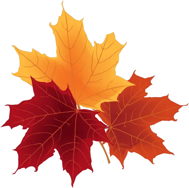 Free Png Autumn Leaves Png Autumn Leaves Autumn Leaves Png