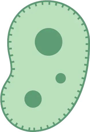 Bacteria Icon Free Download Png And Vector Microorganisms Png Bacteria Png
