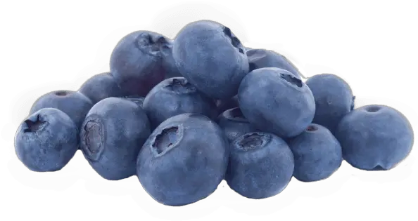 Blueberry Png Transparent Images Blueberry Blueberries Png