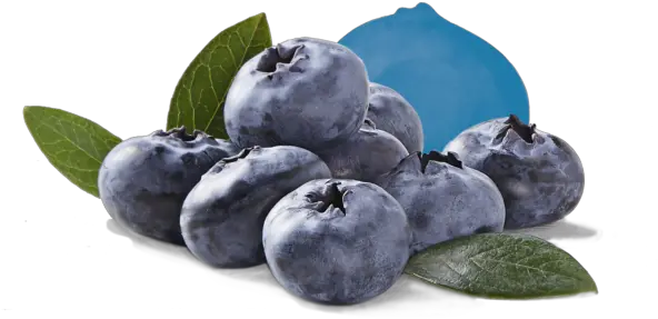 Fresh Berries Driscollu0027s Bilberry Png Blueberries Png