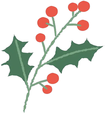 Mistletoe Branch Christmas Illustration Transparent Png Ramas De Navidad Png Mistletoe Transparent
