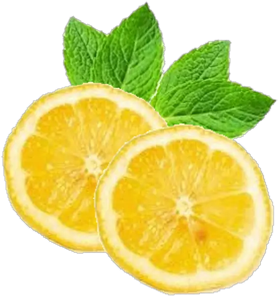 Lemonsmintlemoncitrusgarnish Free Image From Needpixcom Transparent Lemon Top View Png Lemon Transparent Background