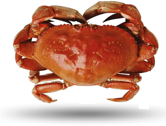 Crab Supreme Lobster Png Crab Legs Png