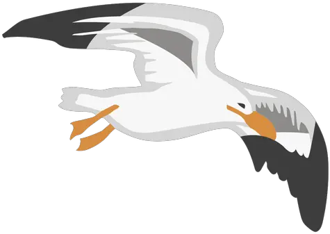 Transparent Png Svg Vector File Seabird Seagull Png