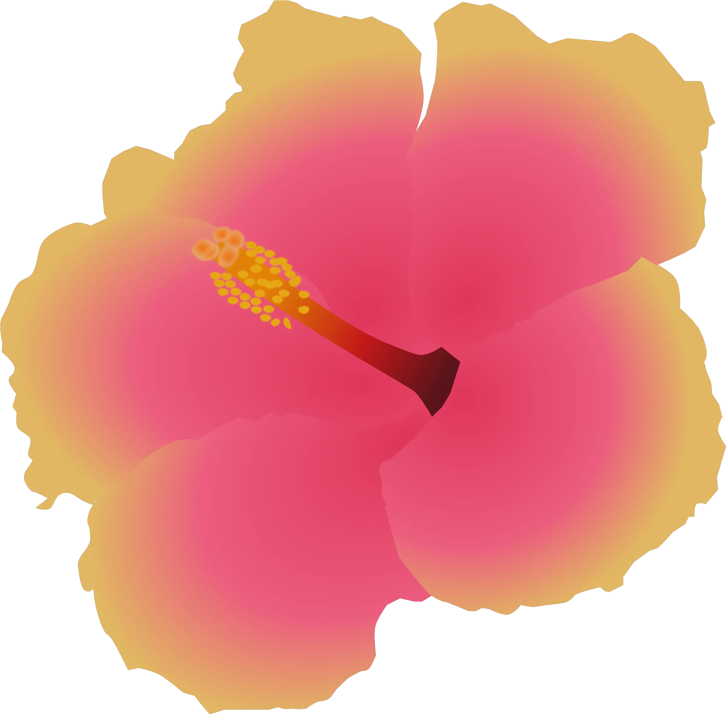 Download Big Image Hawaiian Hibiscus Png Image With No Hawaiian Hibiscus Hibiscus Png