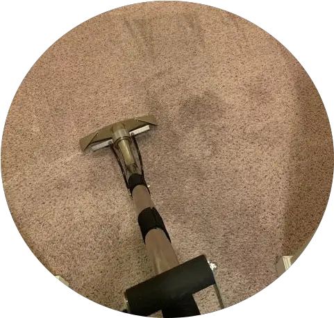 Carpet Cleaning Services Panama City Beach Drytech Of Nwfl Hammer Png Carpet Cleaning Icon