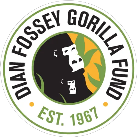 Giving Back Gorilla With A Brush Dian Fossey Gorilla Fund International Png Gorilla Logo