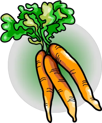 Free Carrot Clipart Pictures Clipartix Bunch Of Carrots Clipart Png Carrot Transparent Background