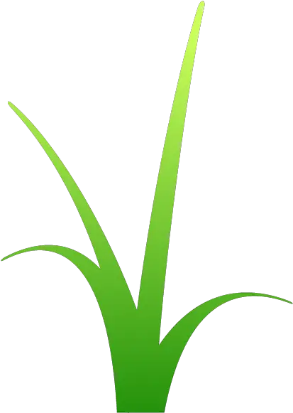 Download Shop Head Noda Office Grasses Omoshiro Mart Hq Png