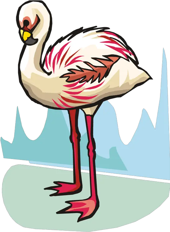 Related Pictures Funny Flamingo Bird Clipart Graphic Clip Art Png Flamingo Clipart Png