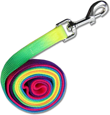 Tie Rope Rainbow Uwiz Tczowy Png Rope Circle Png