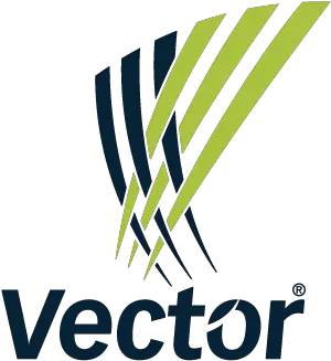 Vector Logo Vector Arena Png Are Png Files Vector