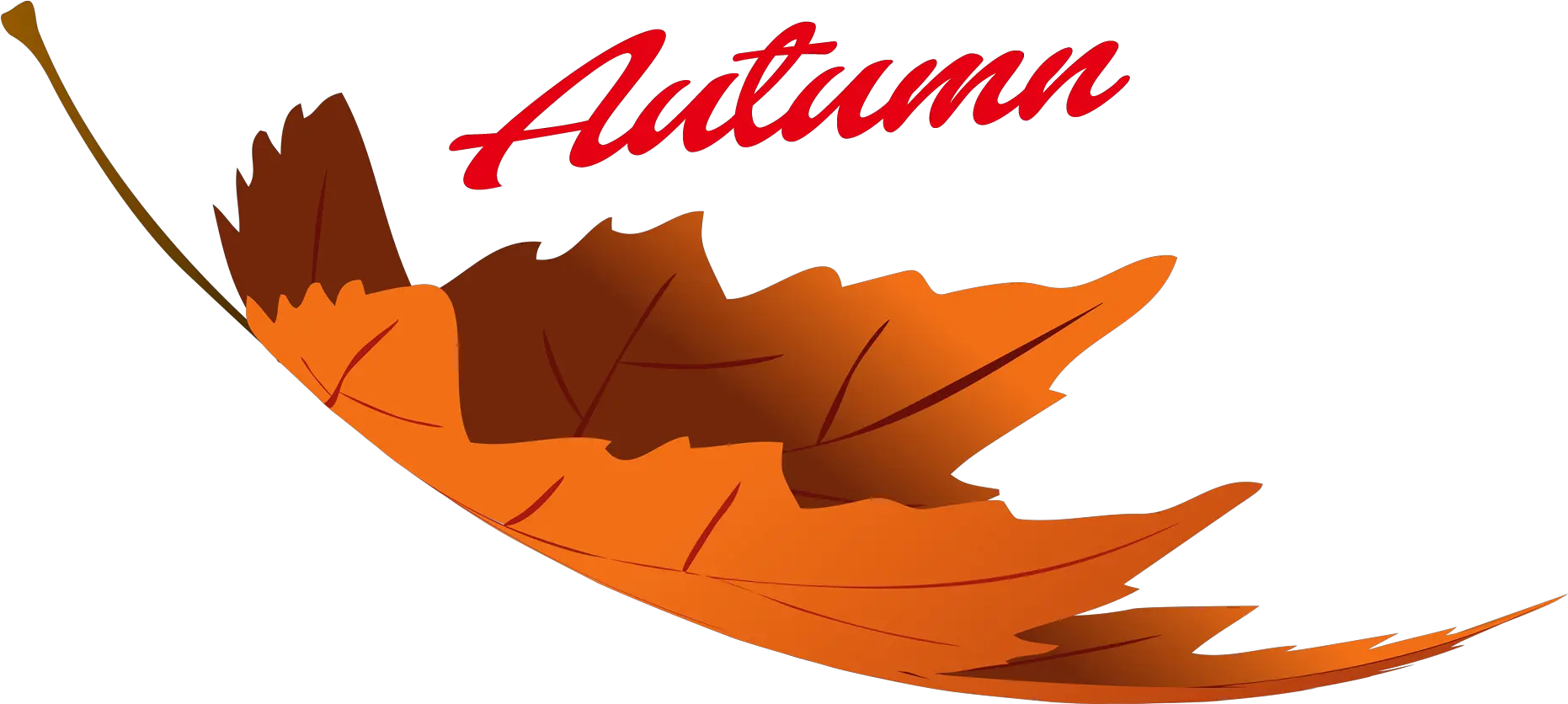 Download Hd Autumn Leaves Png Image Autumn Leaves Png Clipart Autumn Leaves Png