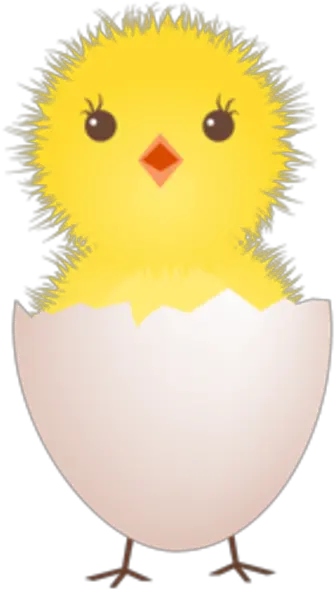 Chicken Egg Shell Icon Clip Art Baby Bird Egg Png Egg Icon Vector