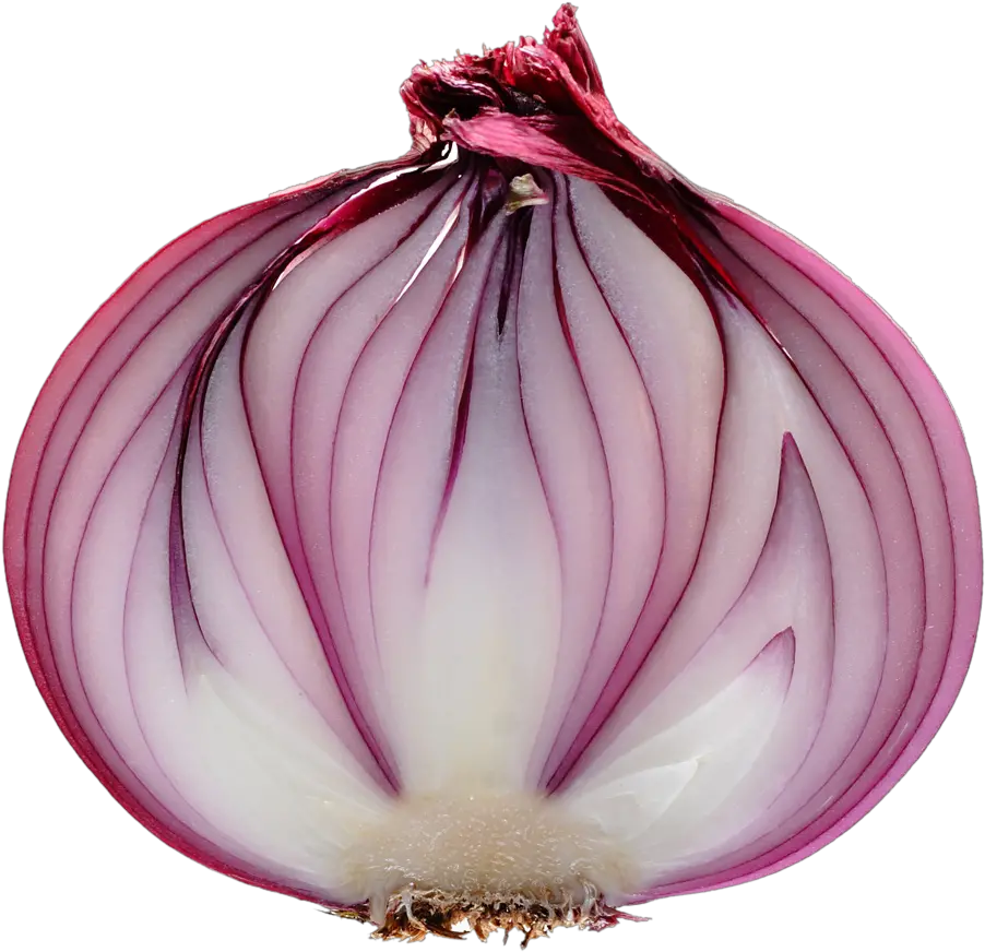 Slice Onion Png Purple Onion Transparent Background Onion Png