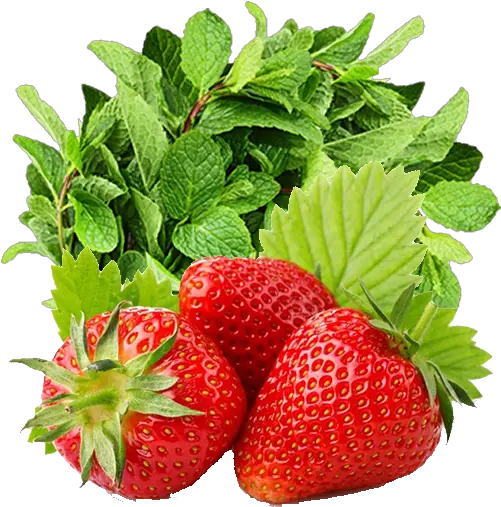 Strawberry And Mint Recipe Fitness Png Mint Transparent