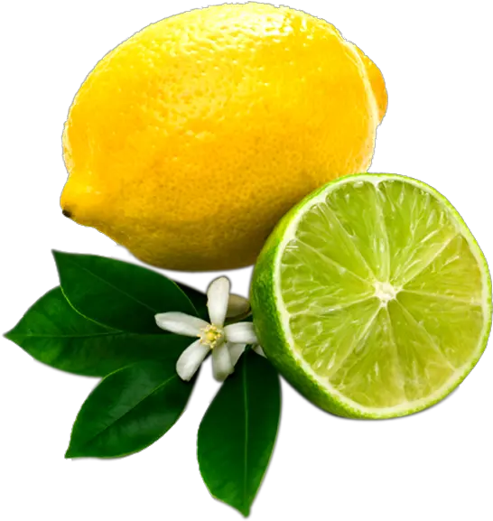 Lemons Clipart Transparent Background Lemon And Lime Png Lime Transparent Background