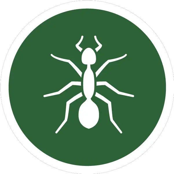 Maineu0027s Best Choice Pest Management Exterminator U0026 Pest Png Ant Icon
