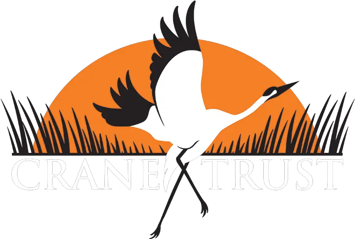 Crane Bird Png Crane Trust Crane 2633686 Vippng Crane Trust Crane Bird Png
