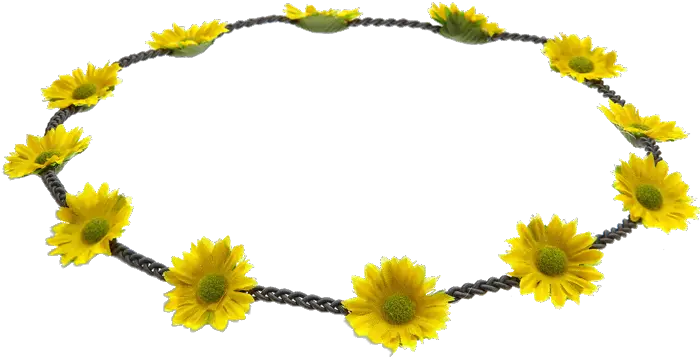 Daisy Chain Transparent Flowers Daisy Chain Transparent Png Daisy Transparent Background