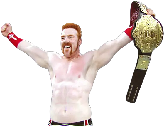 Sheamus Professional Boxing Png Sheamus Png