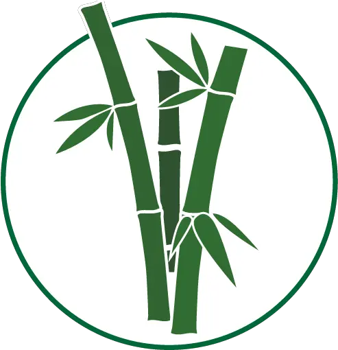 Bamboo Plants Hq For All Your Needs Bamboo Png Bamboo Icon