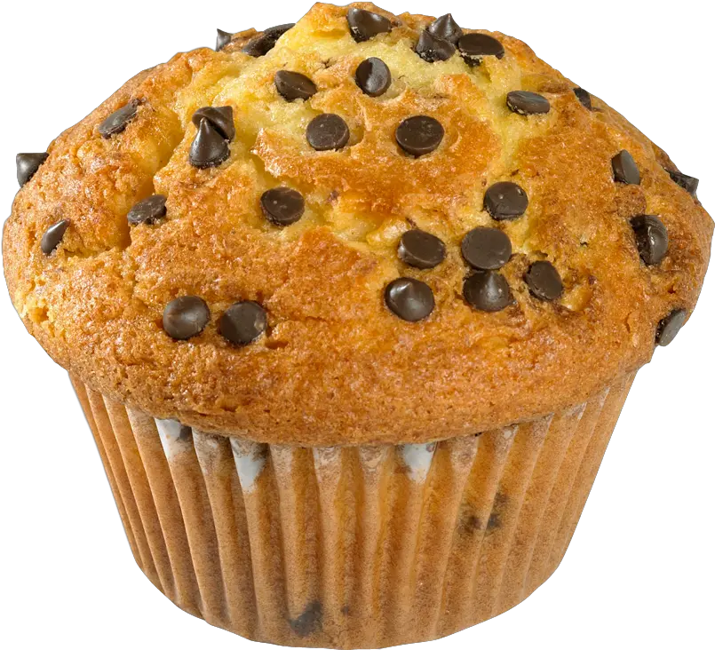 Muffin Png Images Free Download Chocolate Chip Muffins Png Muffin Png