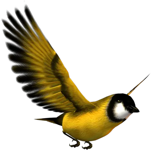 Bird Flight Eurasian Magpie Yellow Yellow Bird Flying Yellow Bird Png Bird Png