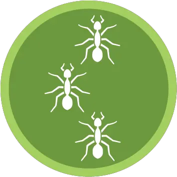 Green Pest Services U2014 Control With Guys Parasitism Png Cockroach Icon